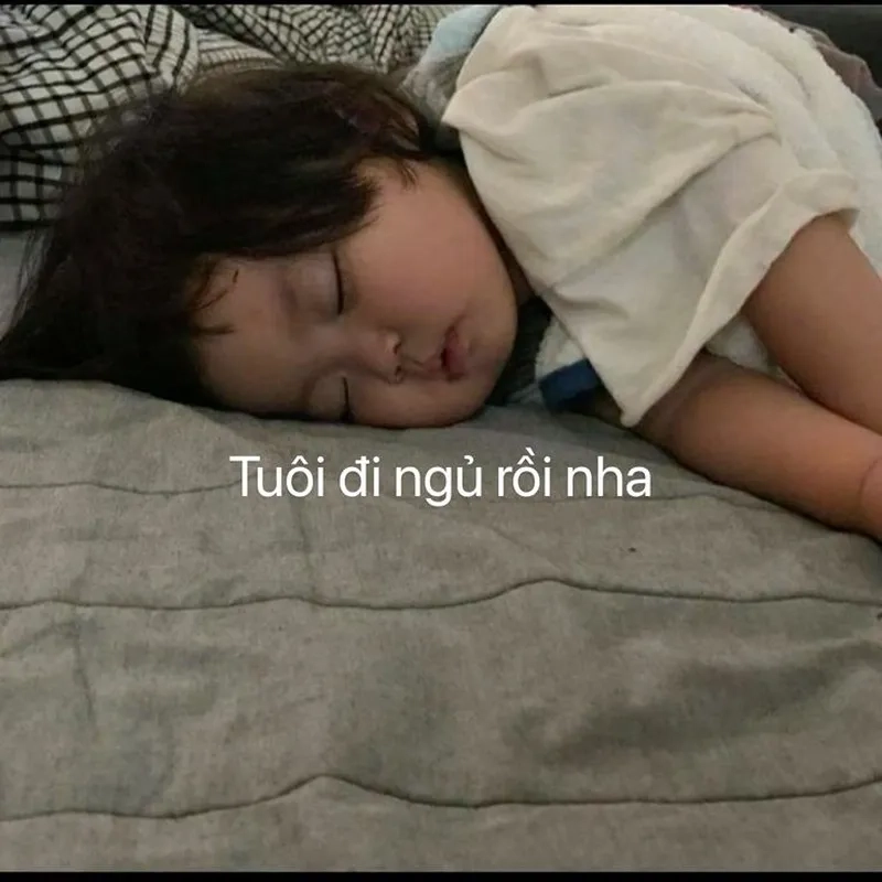 Ảnh đi ngủ meme mang lại sự thoải mái và thư giãn trước khi ngủ, cực kỳ dễ thương và hài hước.