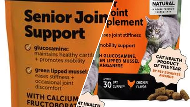 Comprehensive guide to senior cat food with joint support supplements in 2026