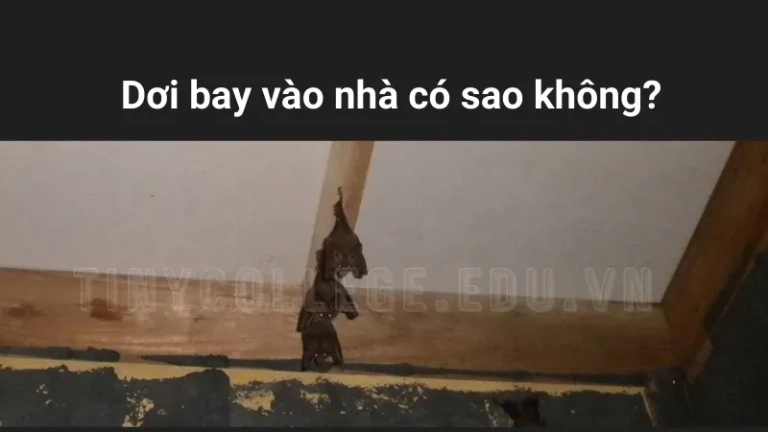 Dơi bay vào nhà có sao không? Điềm tốt hay xấu?