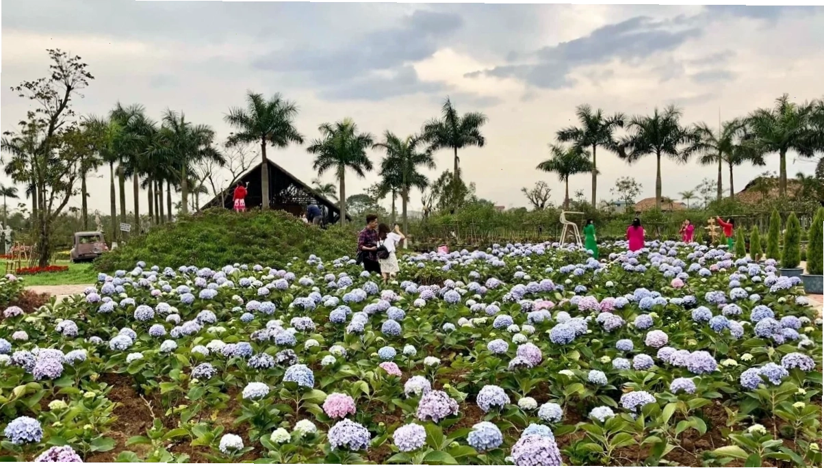 Hoạt động cắm trại tại khu du lịch sinh thái gần Hà Nội
