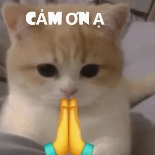 Khám phá bộ sưu tập meme cảm ơn hài hước và ý nghĩa 2026
