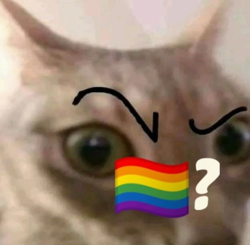 Khám phá Thế giới Meme Gay: Hài hước, Sáng tạo và Đầy Biểu cảm