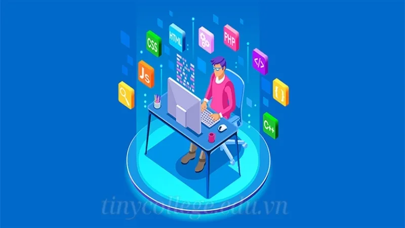 Khám phá tinycollege - Cẩm nang quy tắc sống thông minh