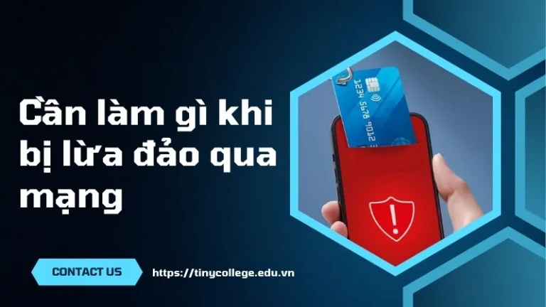 Khi bị lừa đảo qua mạng nên làm gì? Các lưu ý quan trọng