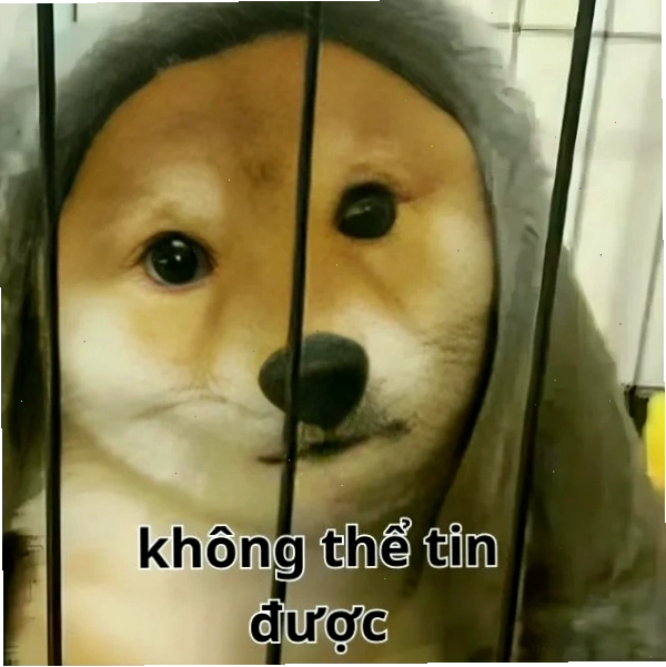 Meme không thể tin được