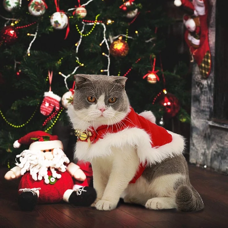 Meme mèo cute là những bức ảnh đầy sắc màu, dễ thương mang đến niềm vui cho mọi người.