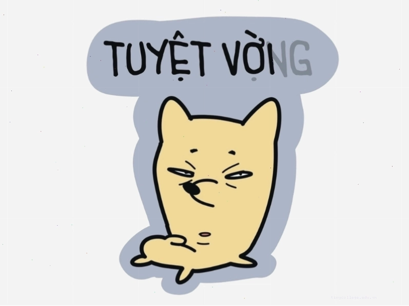 Meme tuyệt vời và tuyệt vọng