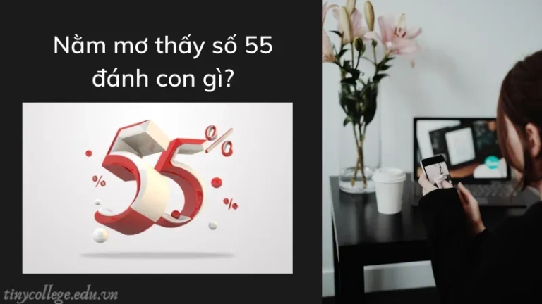 Nằm mơ thấy số 55 đánh con gì? Đánh số nào chuẩn nhất