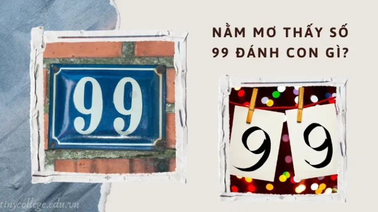 Nằm mơ thấy số 99 đánh con gì để trúng lớn?