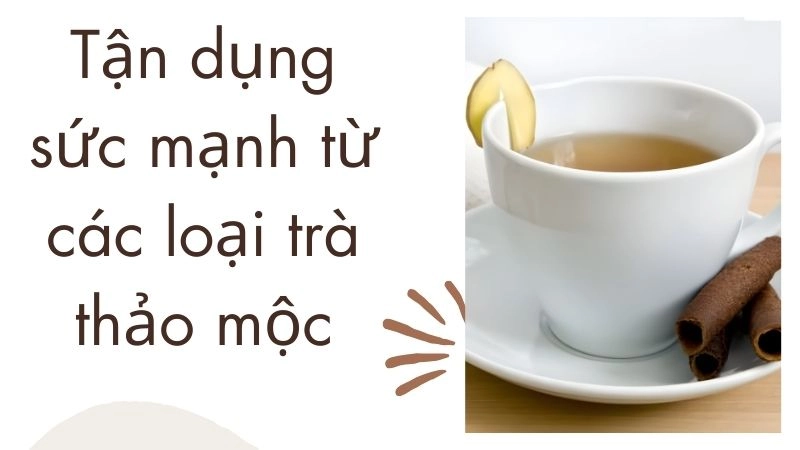 Tận dụng sức mạnh từ các loại trà thảo mộc