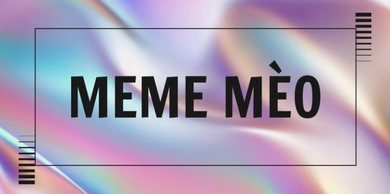 Thư viện ảnh nền mèo meme siêu hài hước và độc đáo cho năm 2026