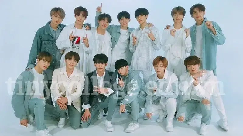 tiểu sử của Seventeen 2