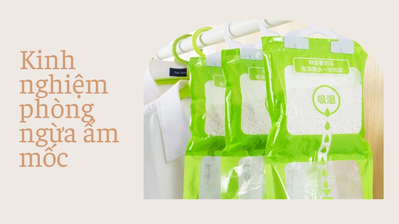 Túi chống ẩm bảo vệ quần áo là kinh nghiệm phòng ngừa ẩm mốc