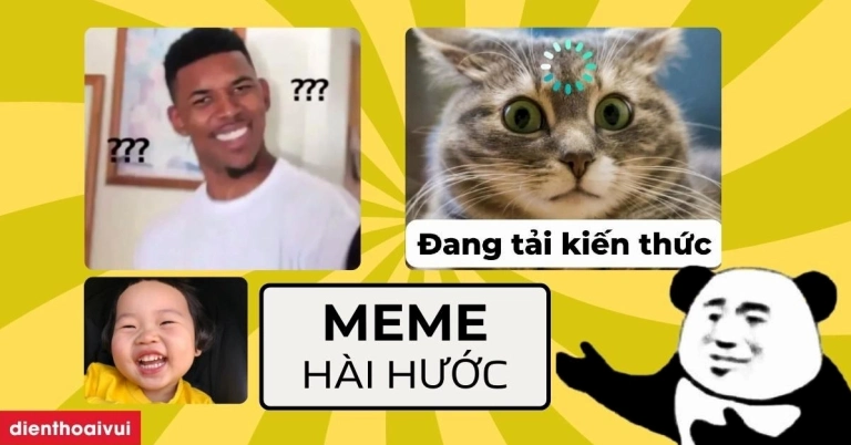 Tuyển Tập Hình Nền Meme Hài Hước Nhất 2026 Khiến Bạn Cười Không Ngớt